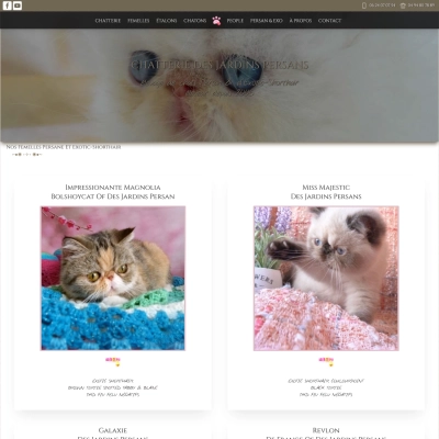 Développement de sites web : Chatterie Des Jardins Persans, capture d’écran ordinateur
